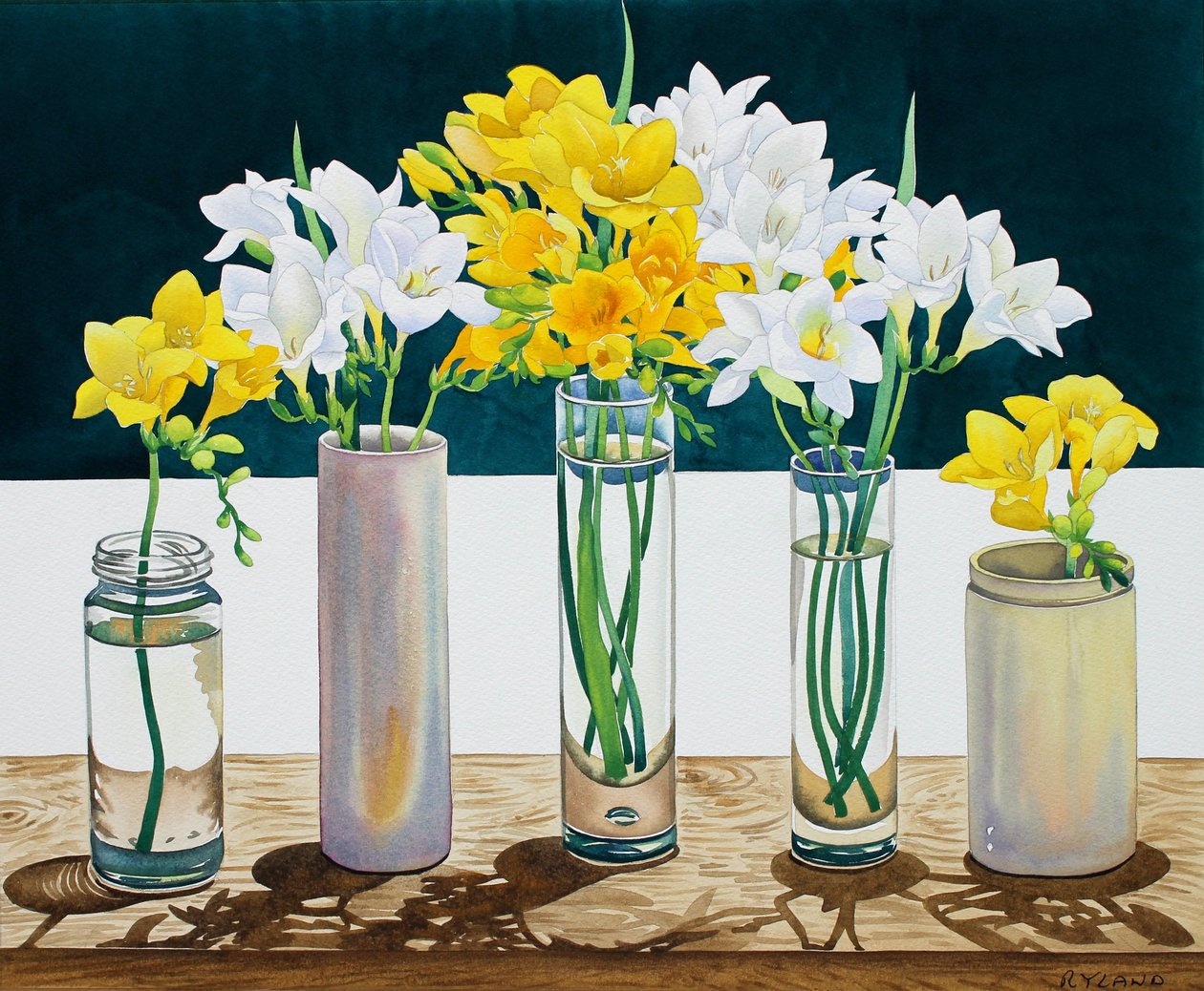 फिर भी जीवन Freesias (कागज पर पानी के रंग) द्वारा क्रिस्टोफर रायलैंड