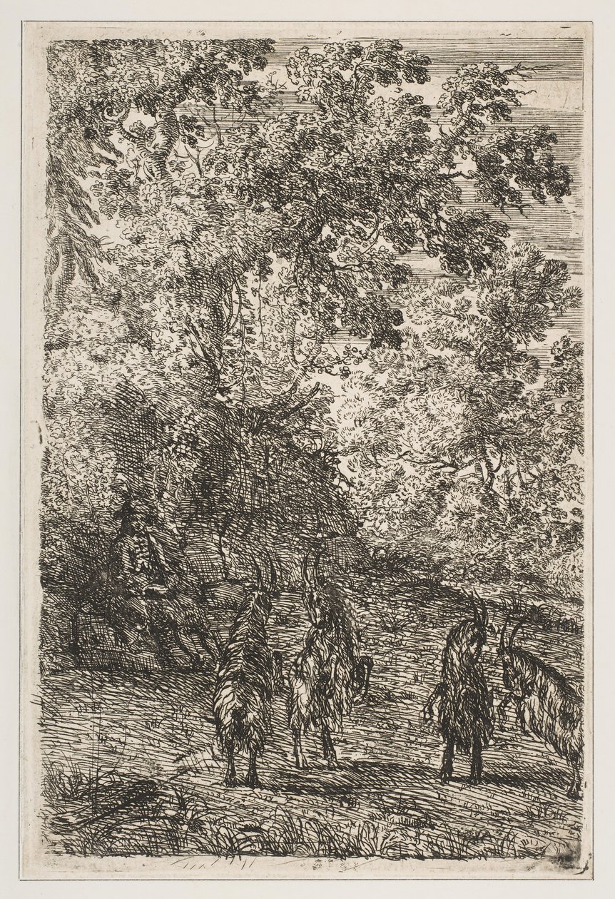 चार बकरियां बकरियों के खंड, सीए। 1630-1633। द्वारा क्लाउड लोरेन