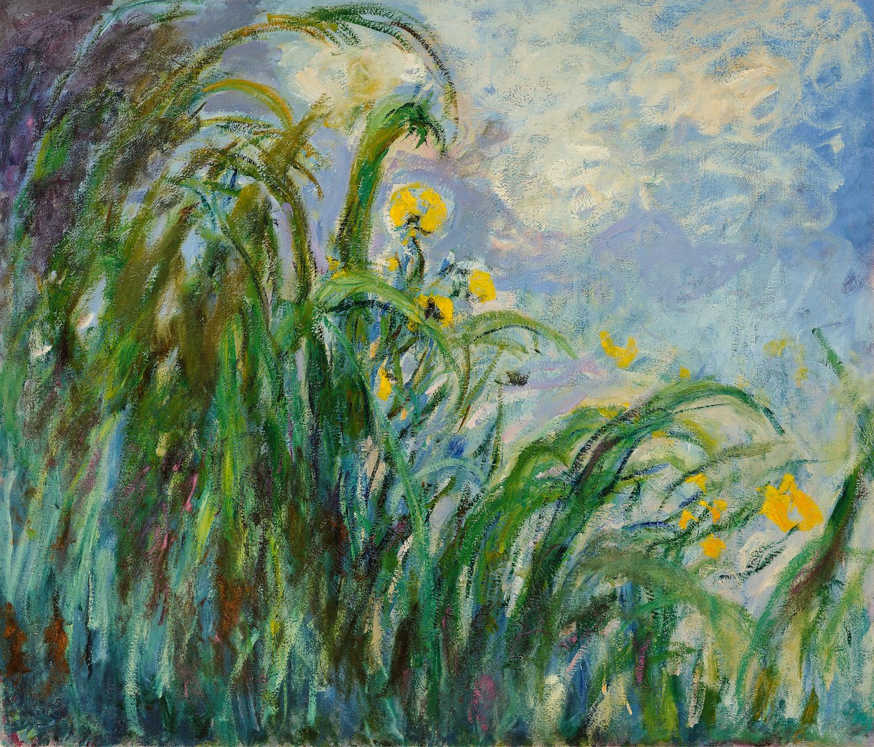पीला irises, सी। 1925। द्वारा क्लाउड मोनेट