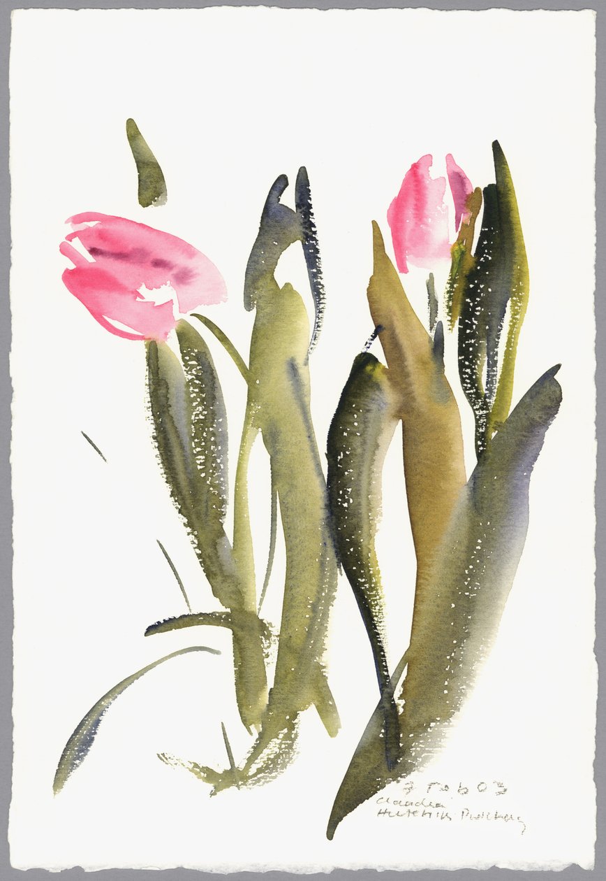 ट्यूलिप, 2003 (वाटर कलर) द्वारा क्लाउडिया हचिंस पुचैवी