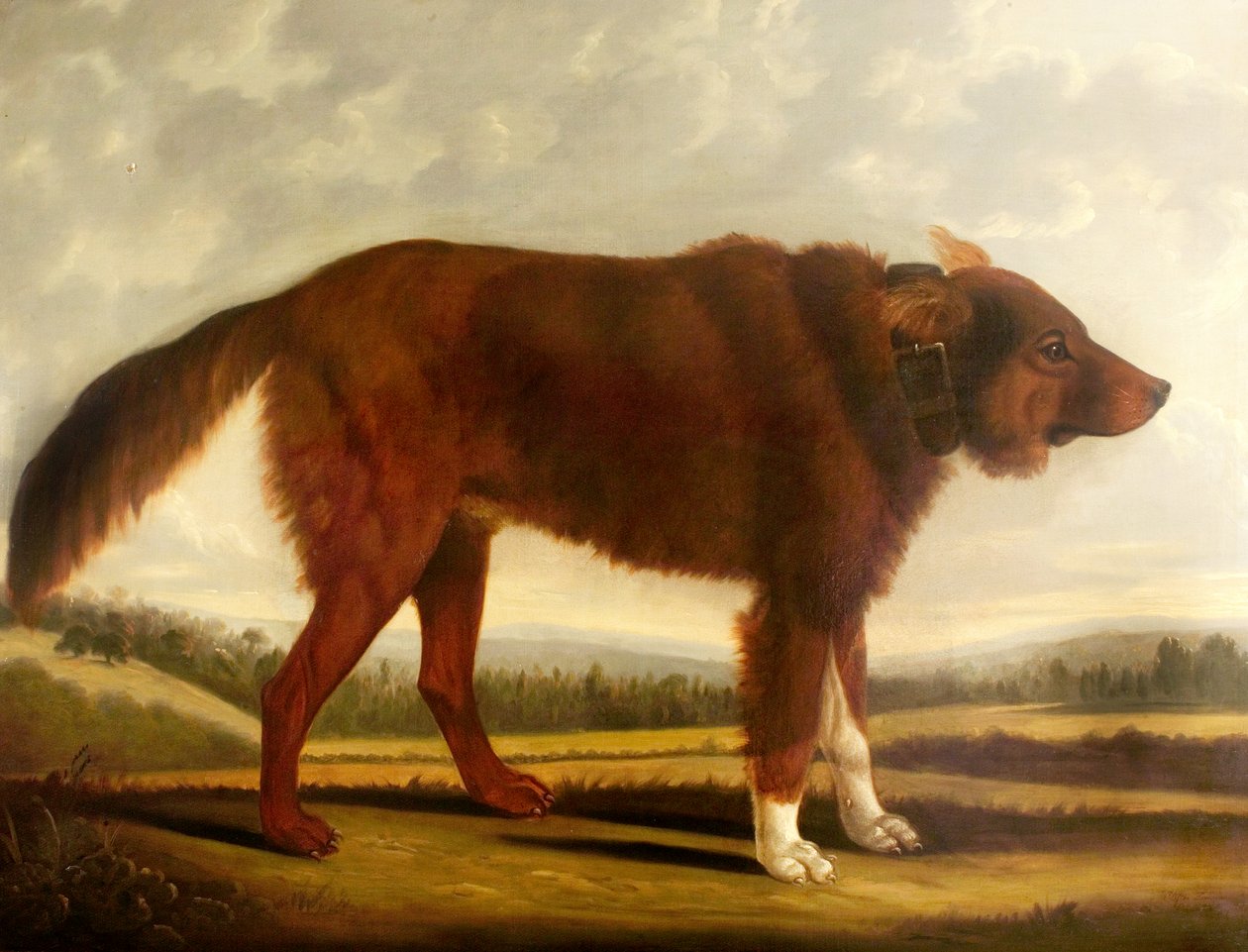 लॉर्ड बायरन डॉग ल्योन (वुल्फ डॉग), 1808 द्वारा क्लिफ्टन टॉमसन