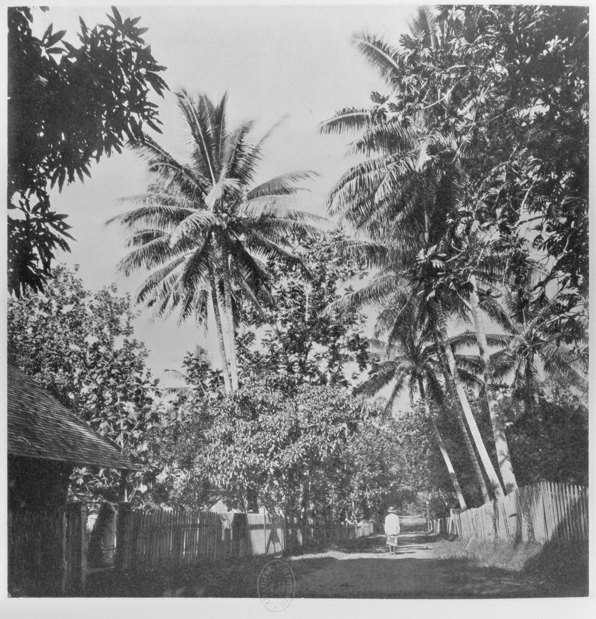 लंदन में 1882 में प्रकाशित &39;ताहिती&39; से एक स्ट्रीट इन पपीते द्वारा कर्नल स्टुअर्ट वॉर्टले
