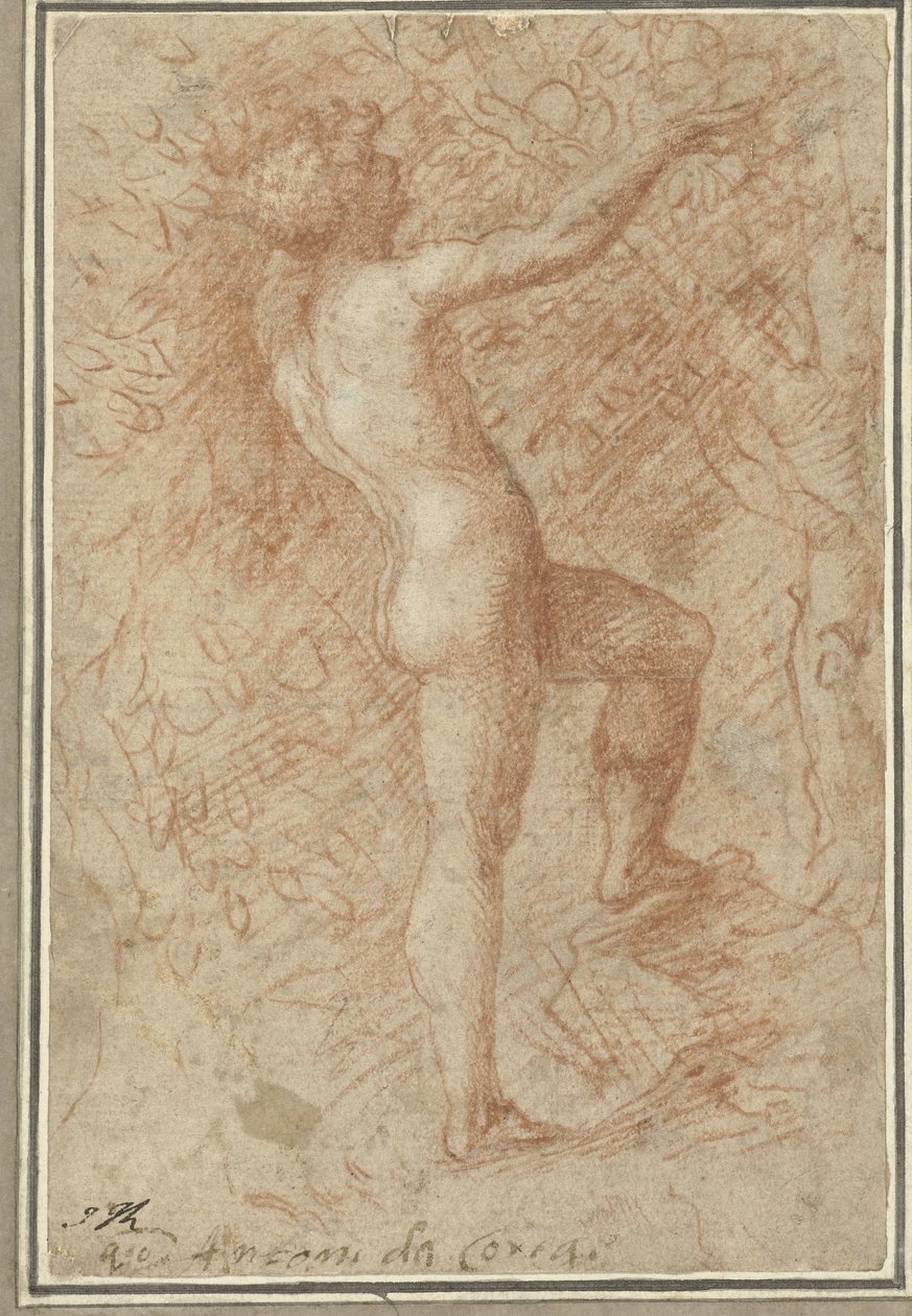  द्वारा Correggio