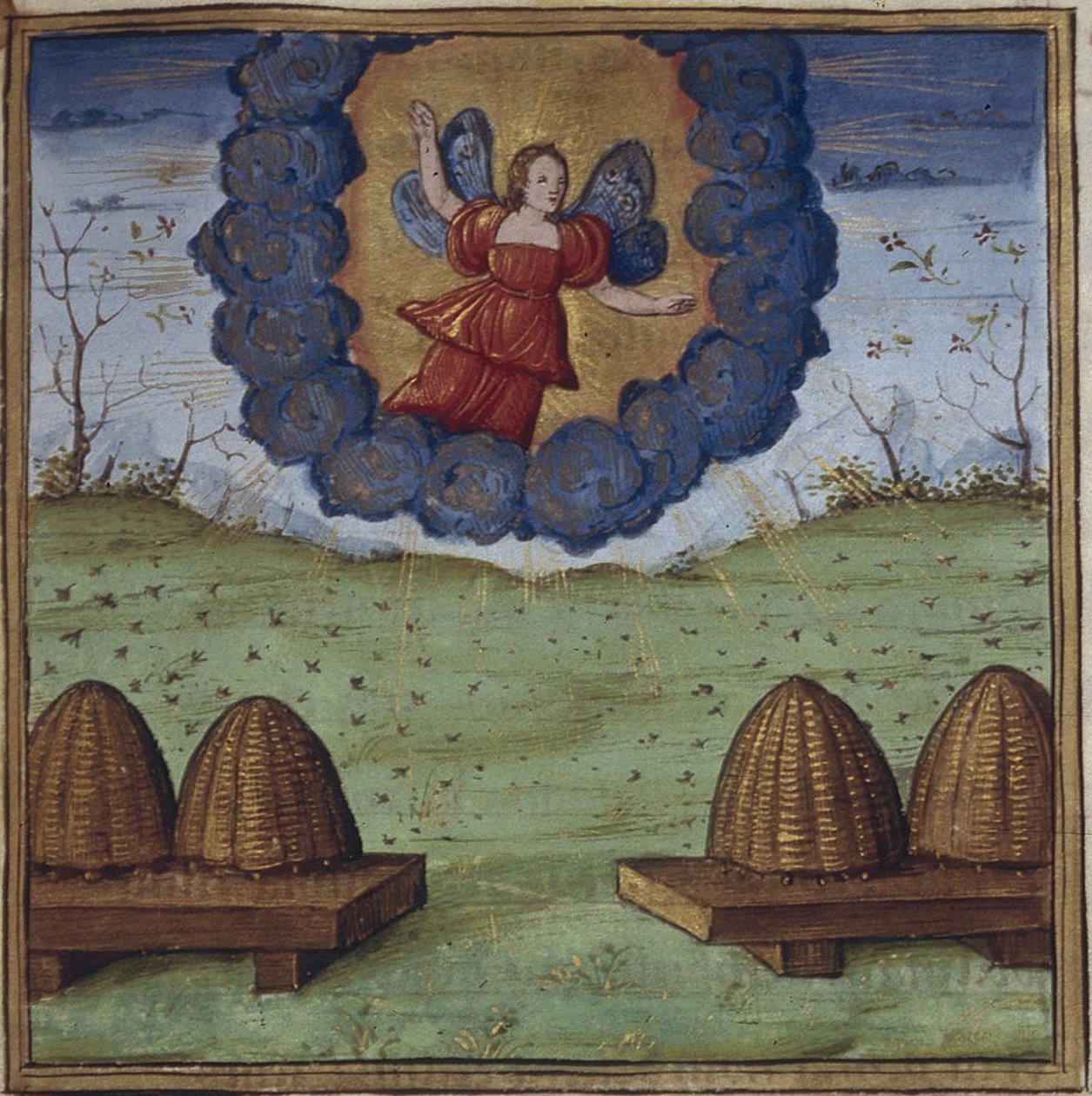 वर्जिल द्वारा जॉर्जिक्स के लिए चित्रण, 1450-1499 द्वारा कोटिवी मास्टर