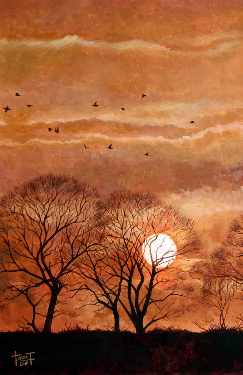 सनसेट, विंडसर, 2010 (कागज पर एक्रिलिक) द्वारा क्रूज़ जुराडो ट्रैवर्सो