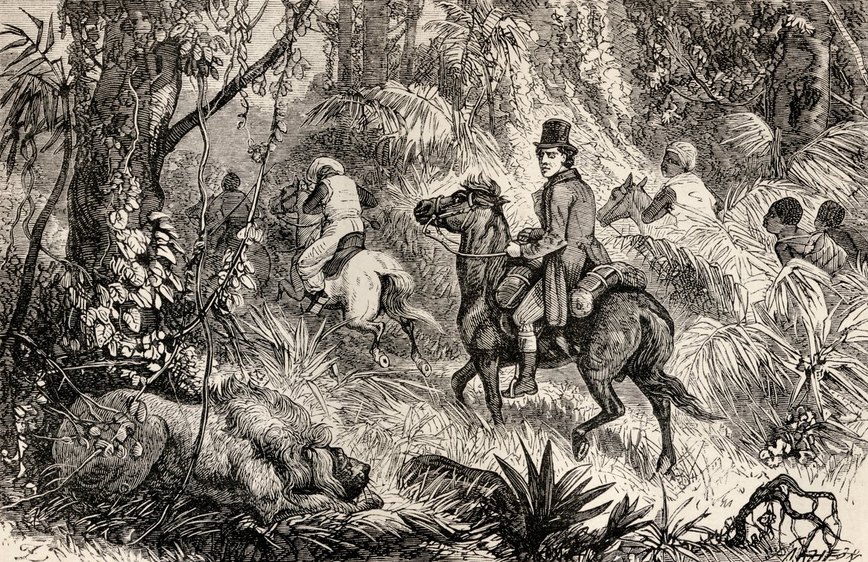 मुंगो पार्क, माडिबू गांव के रास्ते पर एक शेर का सामना करते हुए, 1825 द्वारा Dalziel ब्रदर्स