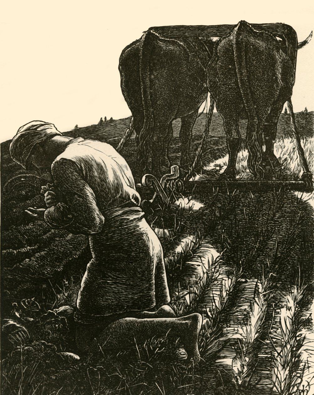 द हिडन ट्रेज़र, 1864, 1928। द्वारा Dalziel ब्रदर्स