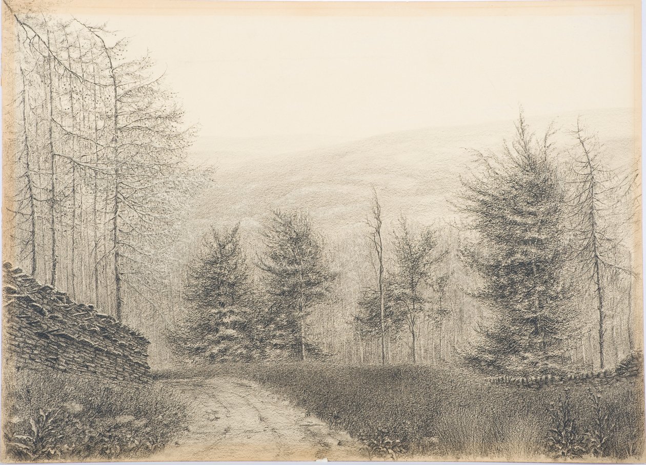 एग्लस्टोन ब्रिज, टेसेडेल, c.1916 (कार्ड पर काला क्रेयॉन) द्वारा डैनियल ओलिवर