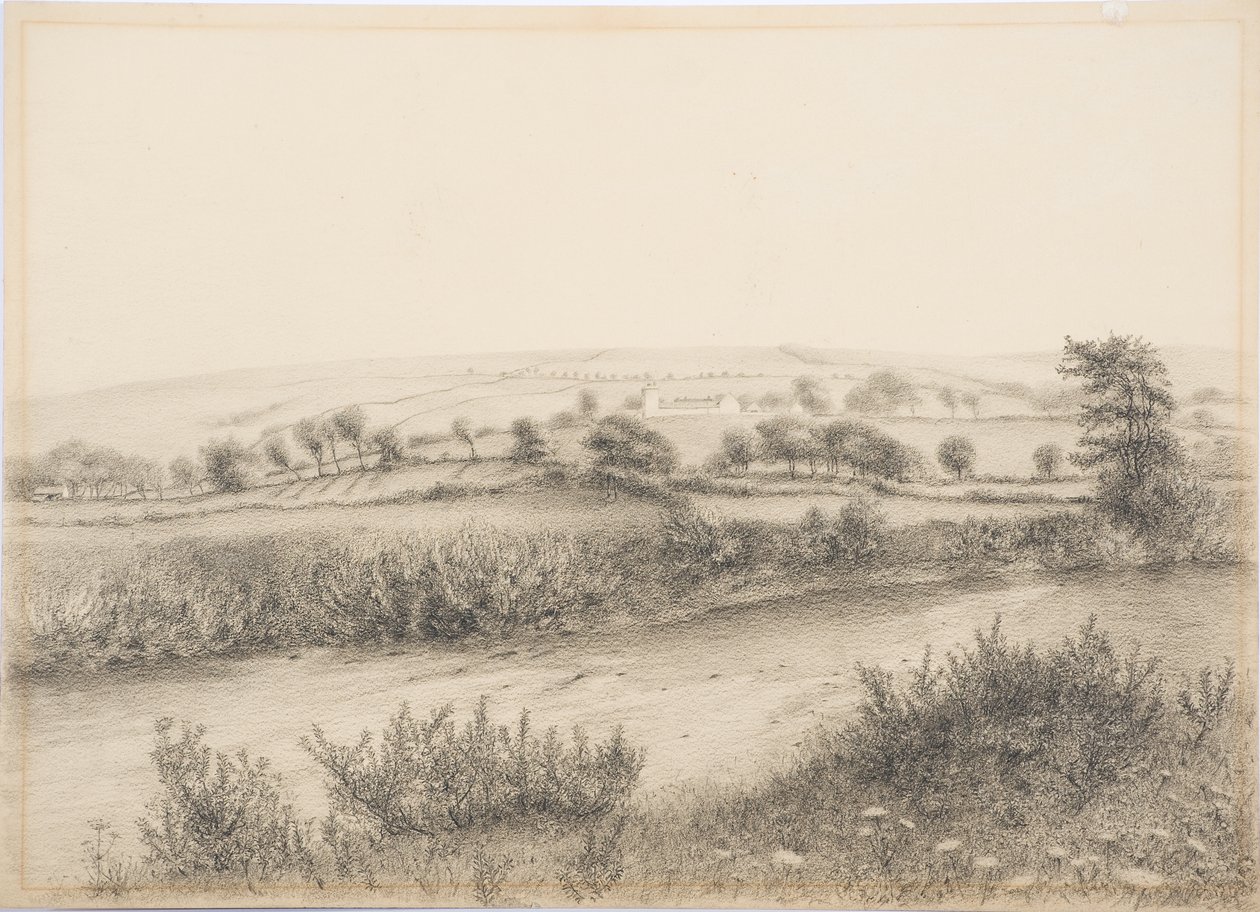 विलिमोट्सविक, c.1916 (कार्ड पर चारकोल अन्ड पेंसिल) द्वारा डैनियल ओलिवर