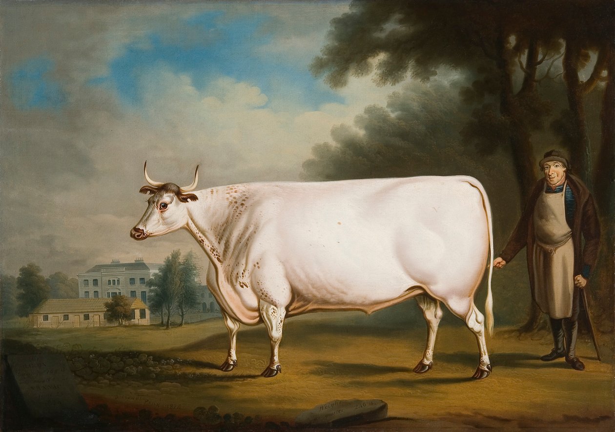'द नन्नौ ऑक्स', 1824 द्वारा डैनियल Clowes