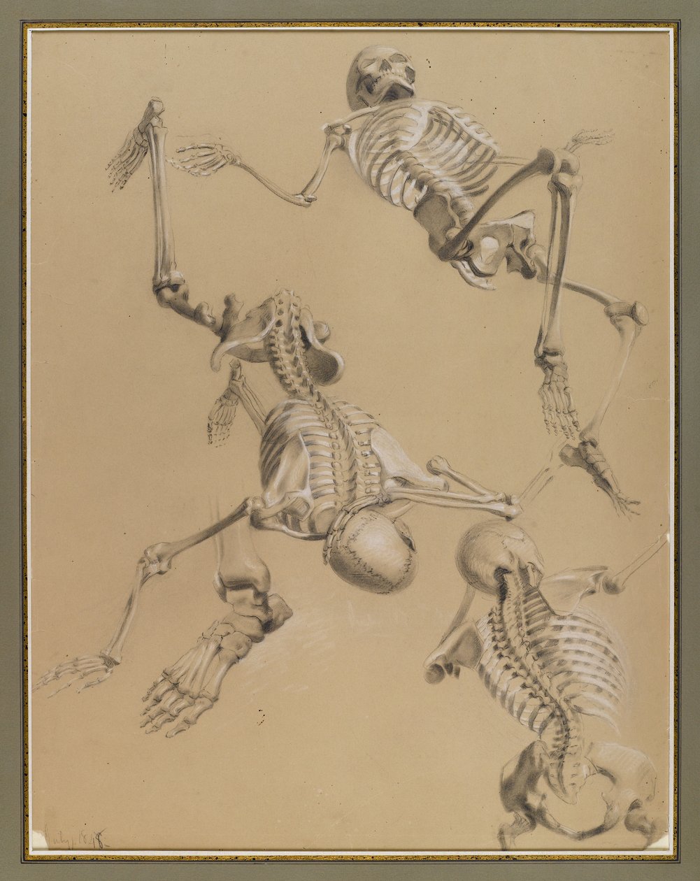 कंकाल का अध्ययन, 1848 (कागज पर चाक) द्वारा डैनियल हंटिंगटन