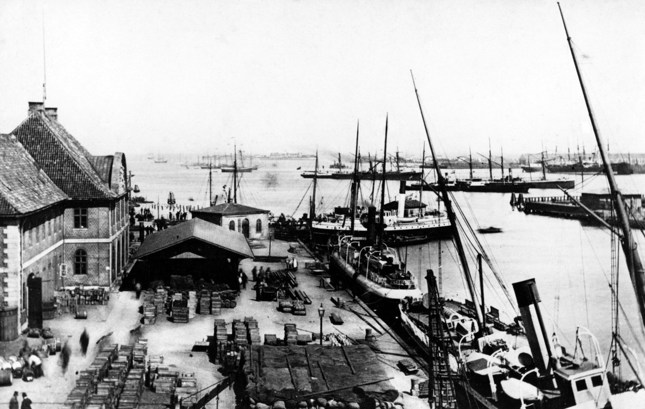 कोपेनहेगन हार्बर, c.1880 द्वारा डेनिश फोटोग्राफर