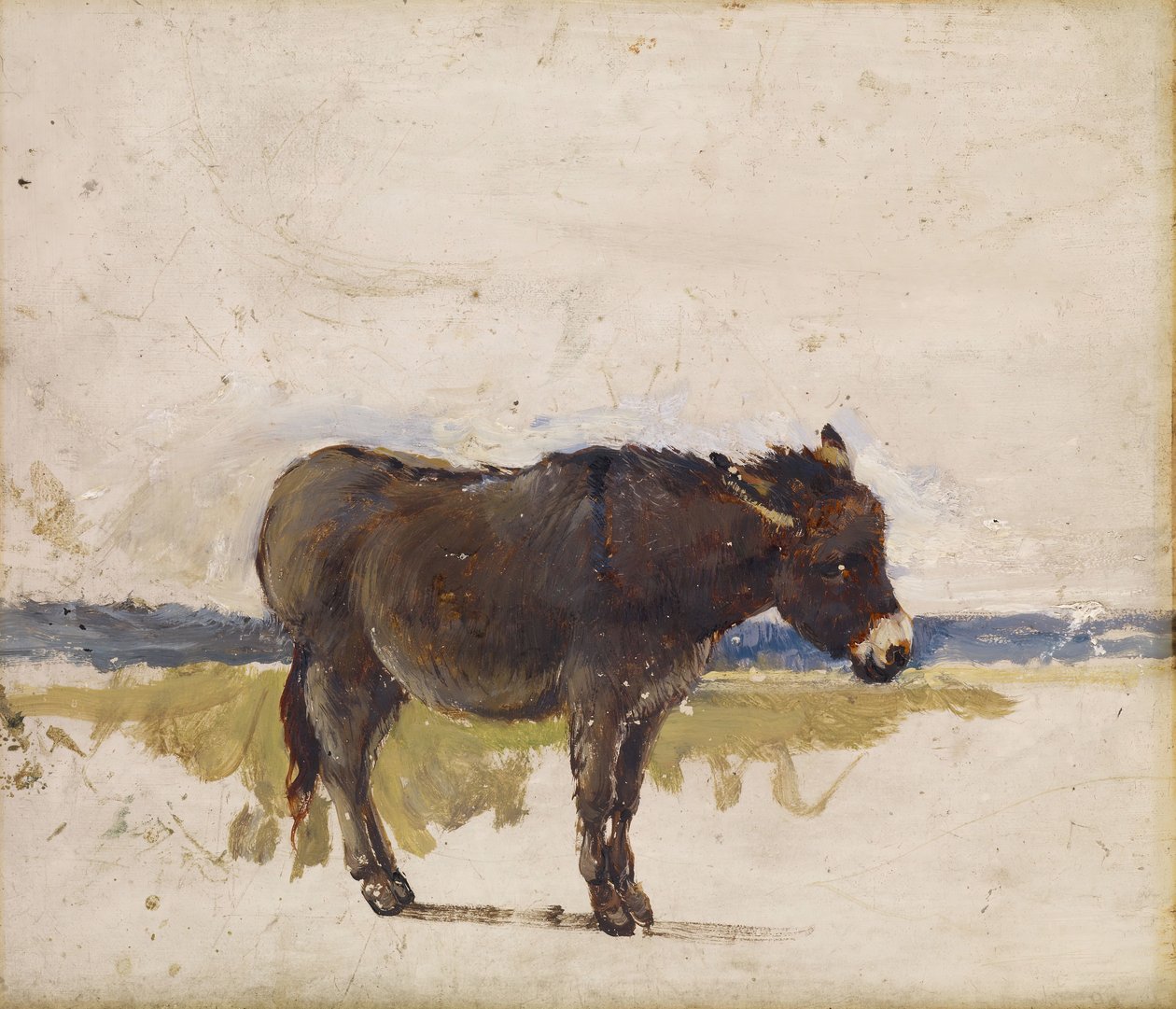 एक गधे का अध्ययन, 1841-1843। द्वारा डेविड कॉक्स बड़े