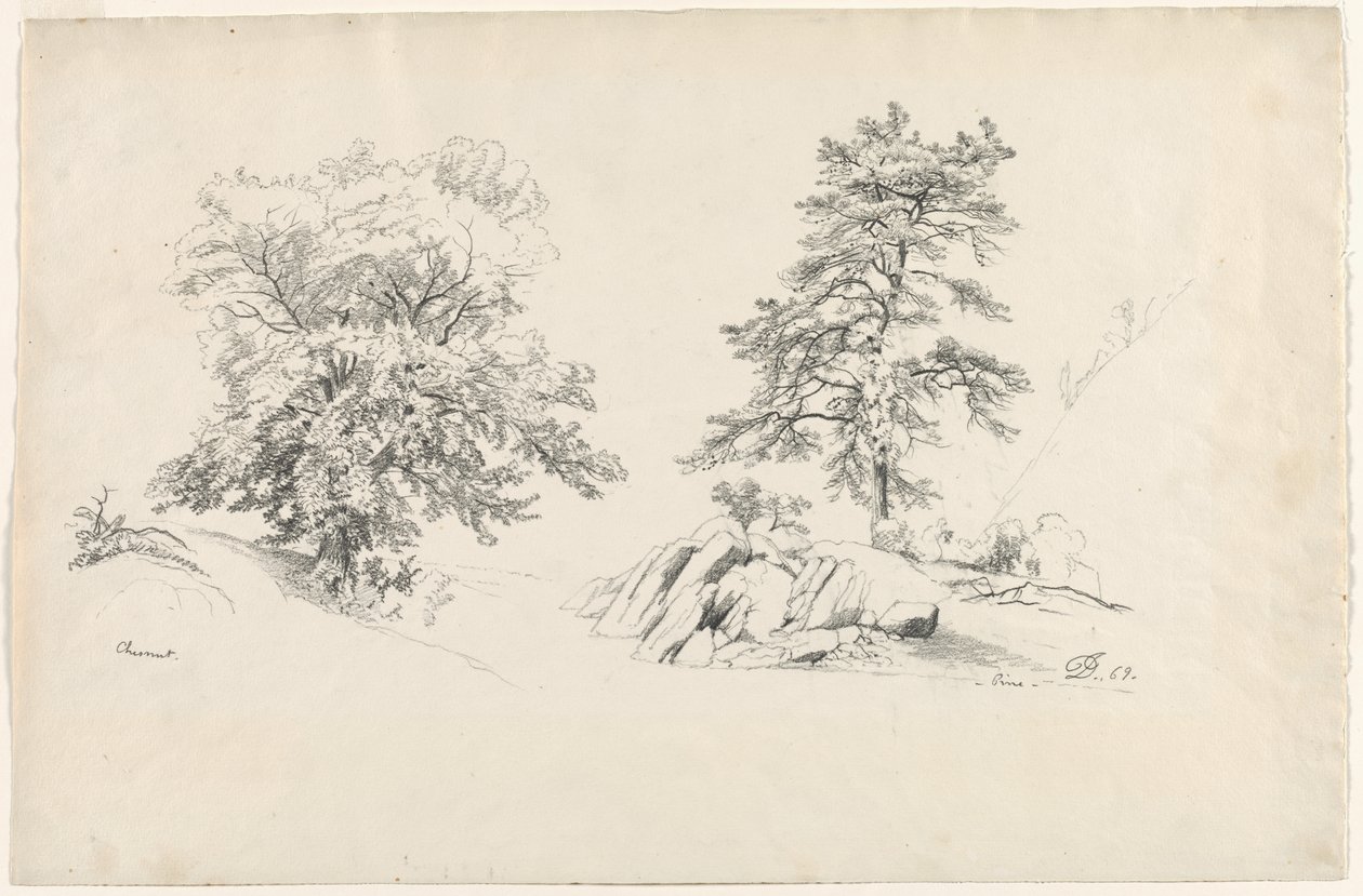 चेस्टनट और पाइन, 1869। द्वारा डेविड जॉनसन