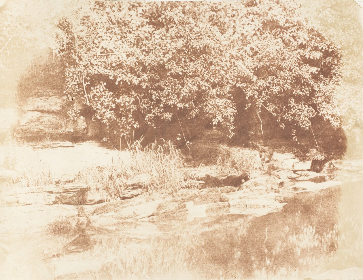 बर्नसाइड, बादाम नदी में मुरली द्वीप, 1843-47। निर्माता: डेविड ऑक्टेवियस हिल, रॉबर्ट एडमसन, हिल और एडमसन। द्वारा हिल और एडमसन