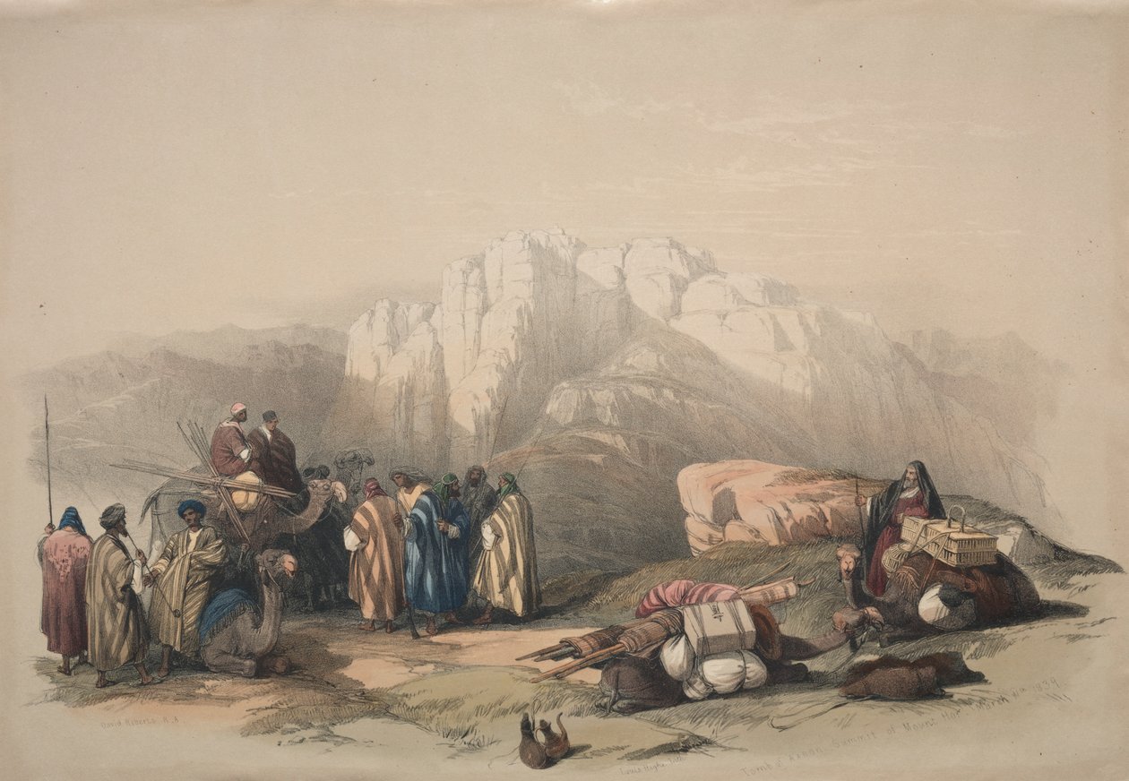  द्वारा डेविड रॉबर्ट्स