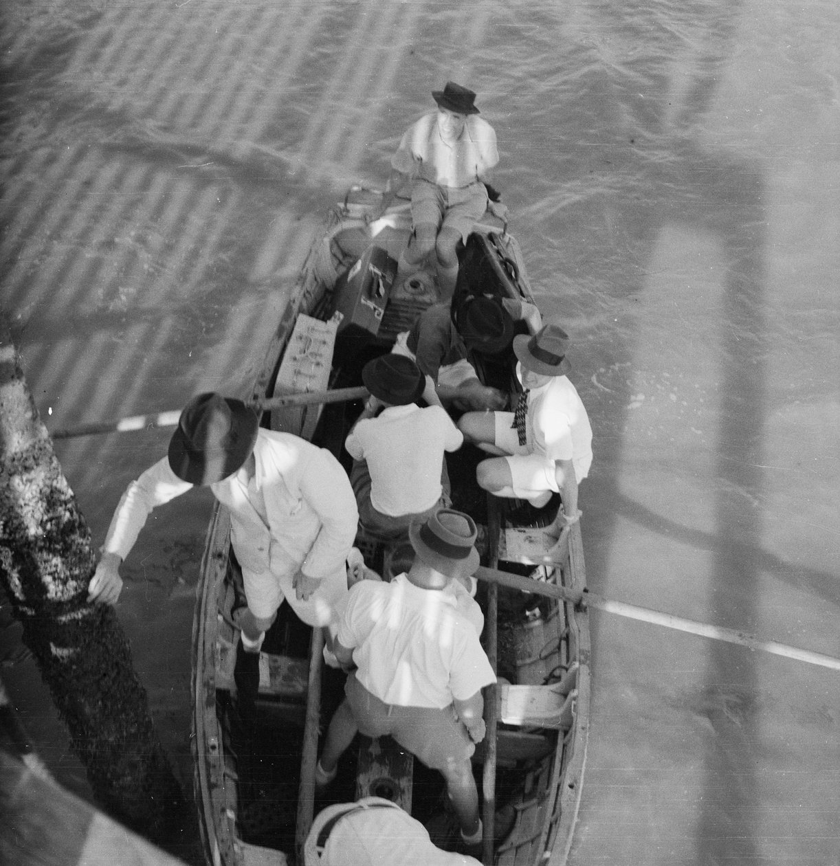  द्वारा डेविड वॉटकिन वाटर्स