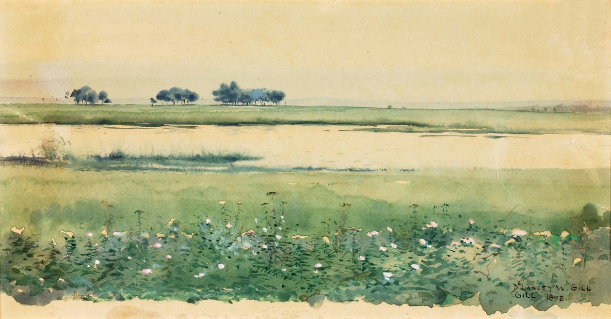 मार्शेस के साथ लैंडस्केप, 1898। द्वारा डी लांसी गिल
