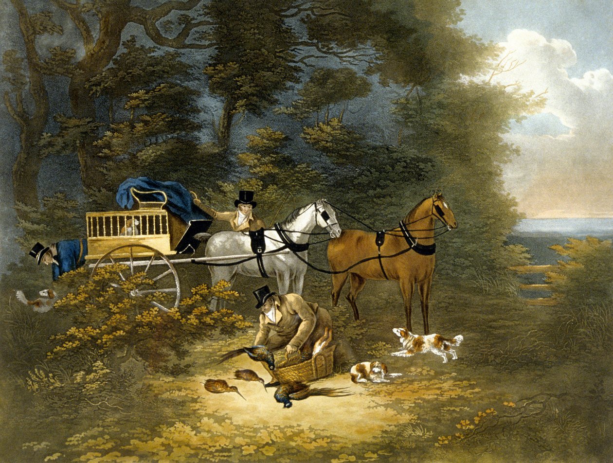 शूटिंग, प्लेट 4, आरजी रीव द्वारा उकेरी गई द्वारा डीन एसएनआर। (बाद) वोल्स्टेनहोल्म
