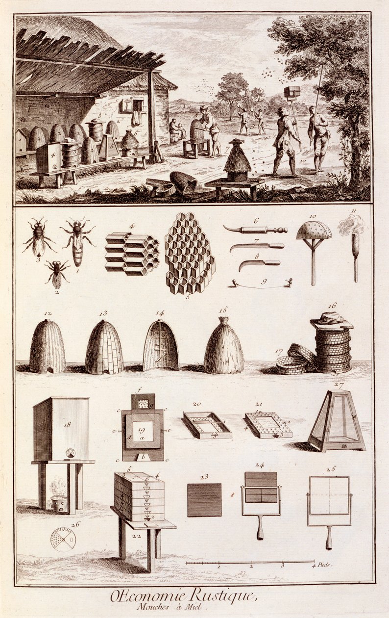 मधुमक्खी पालन, &39;डिक्शनरी ऑफ साइंसेज&39; से, c.1770 (746839 भी देखें) द्वारा डेनिस डिडरोट