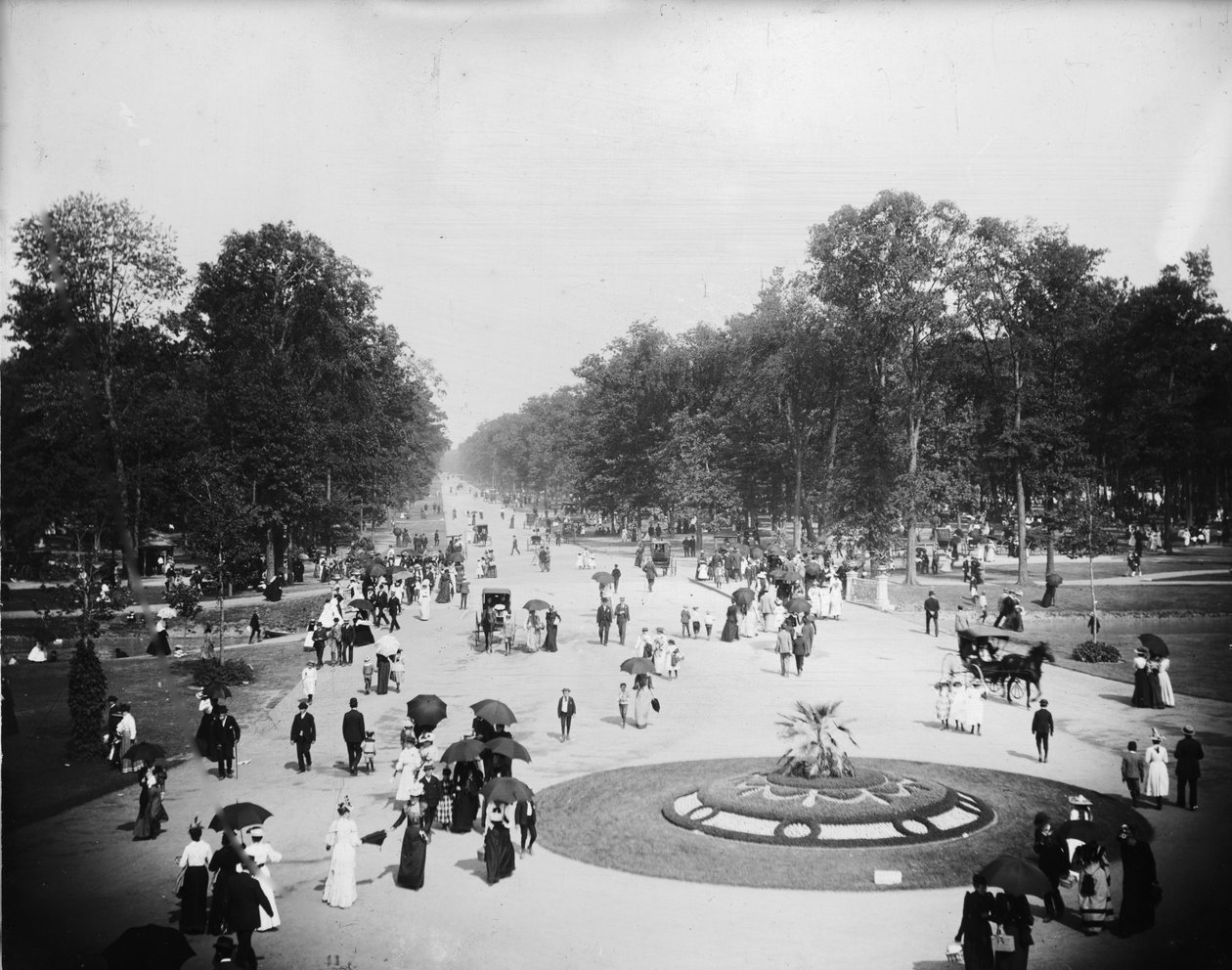 सामान्य दृश्य, लॉस एंजिल्स, कैलिफोर्निया, c.1880-99 द्वारा डेट्रोइट प्रकाशन कंपनी