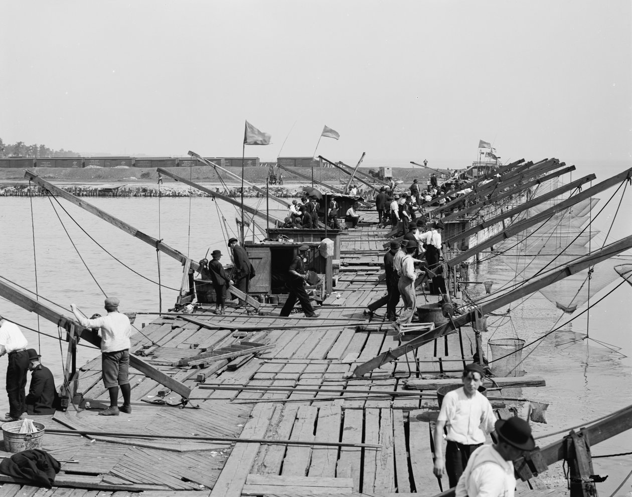 मत्स्य पालन घाट, शिकागो, इलिनोइस, c.1910-20 द्वारा डेट्रोइट प्रकाशन कंपनी