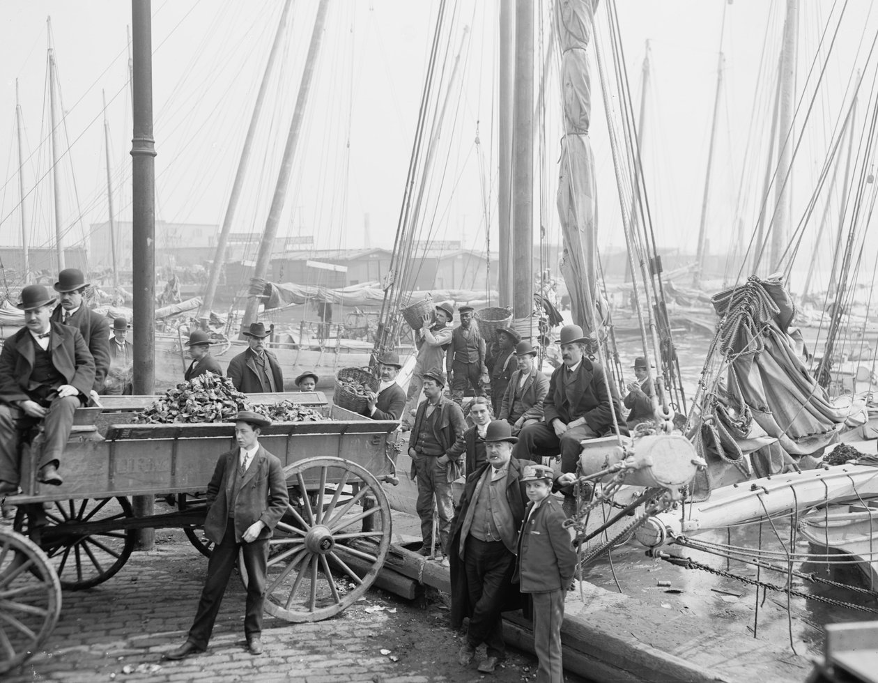 1905 में बेलस्टॉर, मैरीलैंड, सीप के लॉगर को उतारना द्वारा डेट्रोइट प्रकाशन कंपनी