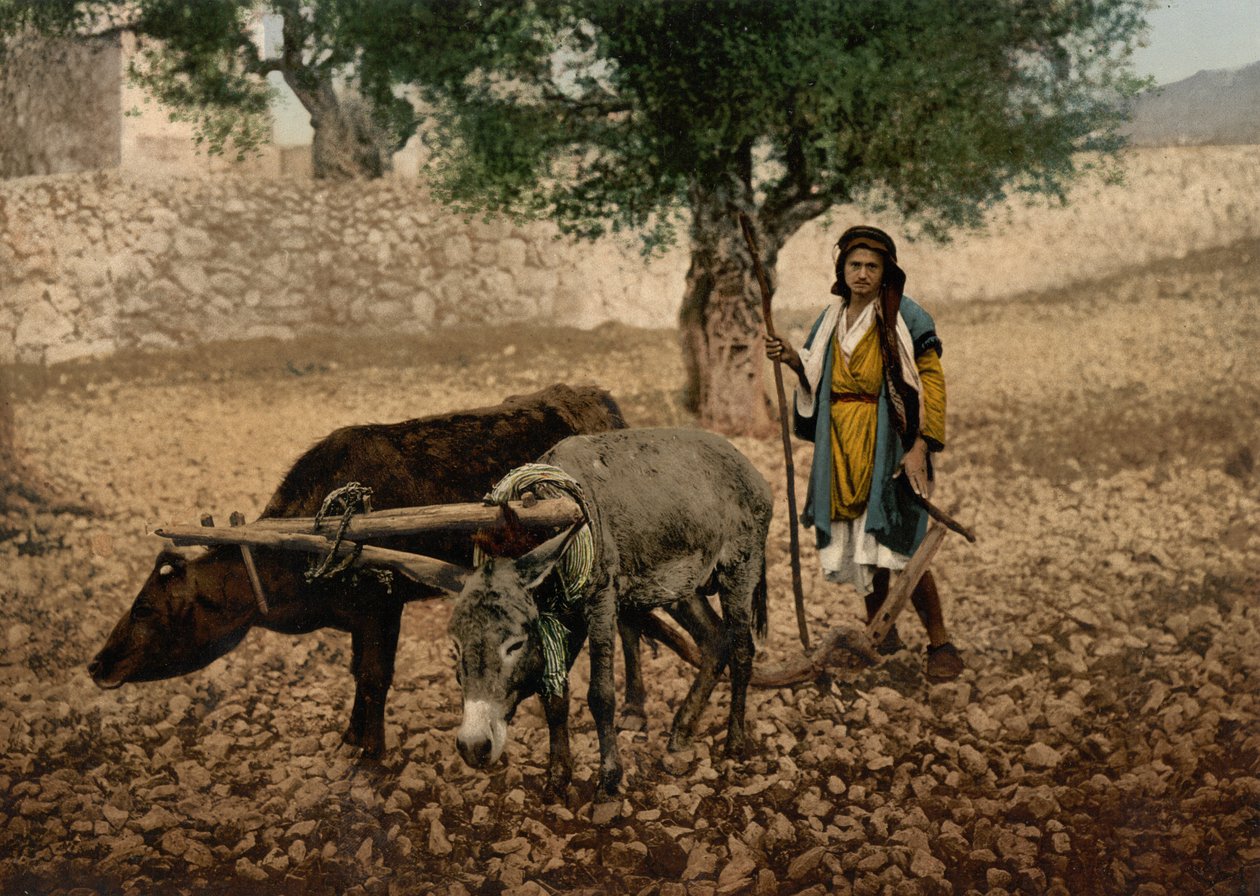  द्वारा डेट्रोइट फोटोग्राफिक कंपनी