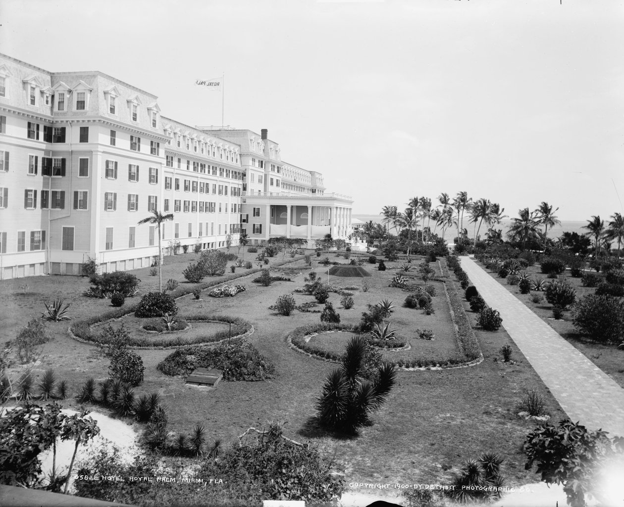 होटल रॉयल पाम, मियामी, फ्लोरिडा, c.1900 द्वारा डेट्रोइट प्रकाशन कंपनी