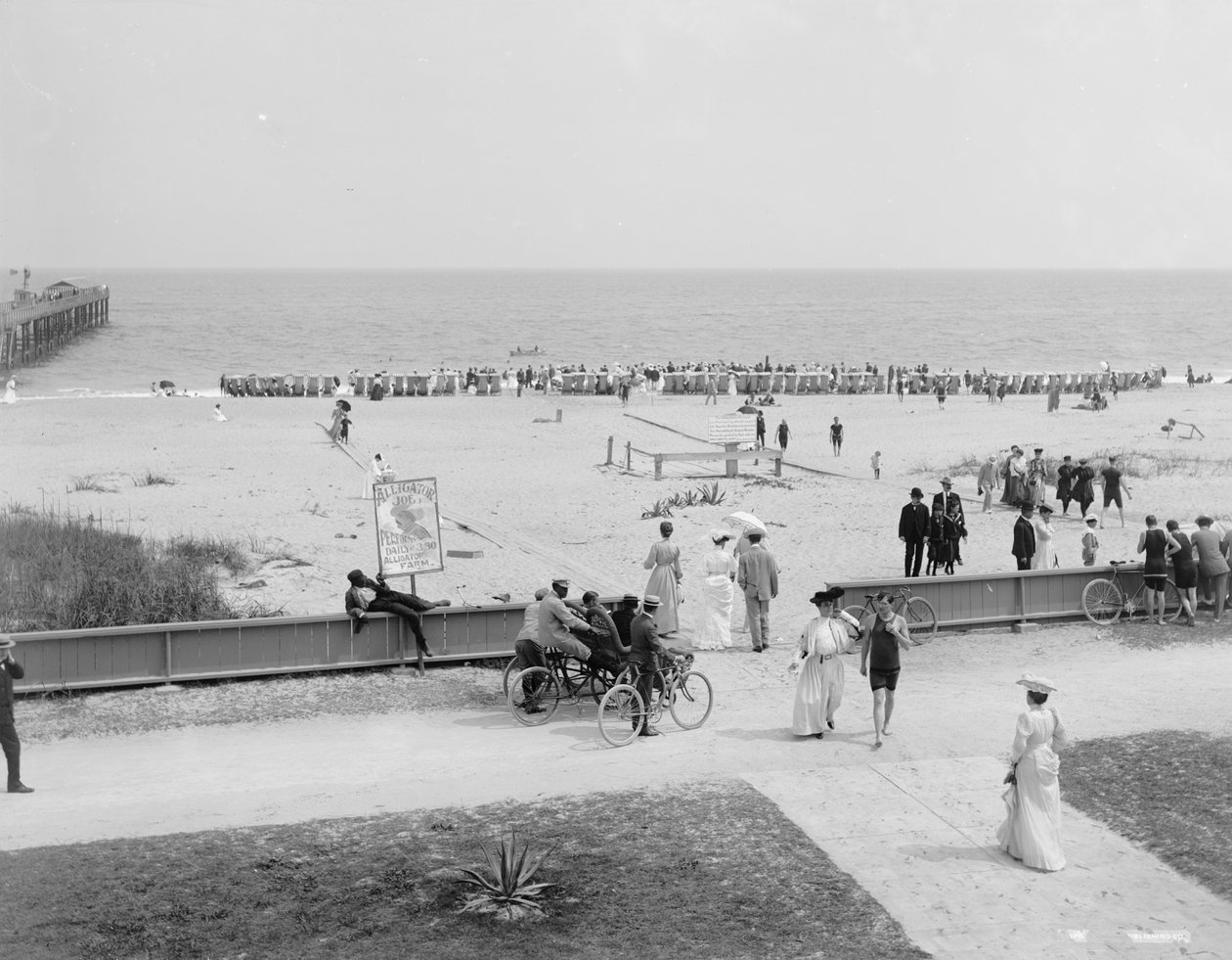 पाम बीच, फ्लोरिडा, c.1905 (b/w फोटो) द्वारा डेट्रोइट प्रकाशन कंपनी