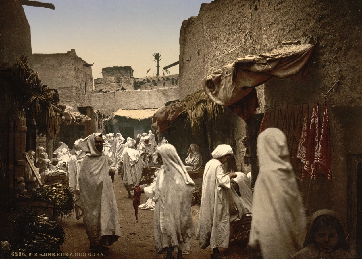 सिदी ओकाबा में अल्जीरियाई गली, c.1899 (फोटोक्रोम) द्वारा डेट्रोइट प्रकाशन कंपनी