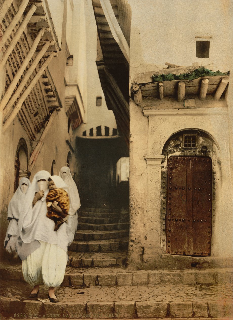 ऊंटों की सड़क, अल्जीयर्स, c.1899 (फोटोक्रोम) द्वारा डेट्रोइट प्रकाशन कंपनी