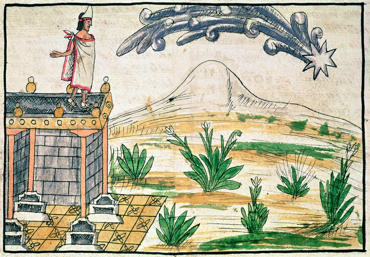 मोंटेज़ुमा II (1466-1520) धूमकेतु, 1579 (वेल्लम) देखना द्वारा डिएगो डुरान