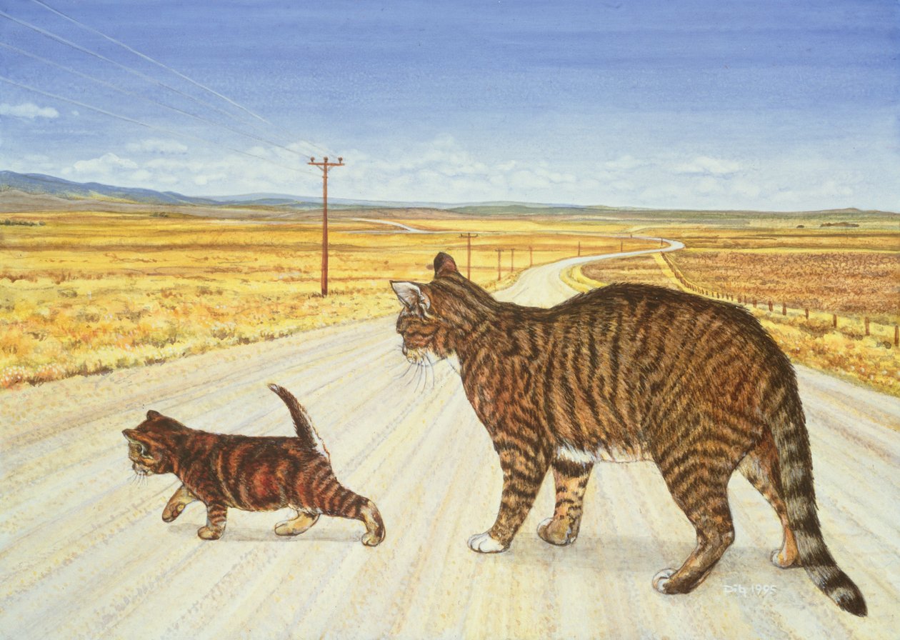 साराटोगा क्रॉसिंग, 1995 द्वारा डिट्ज़