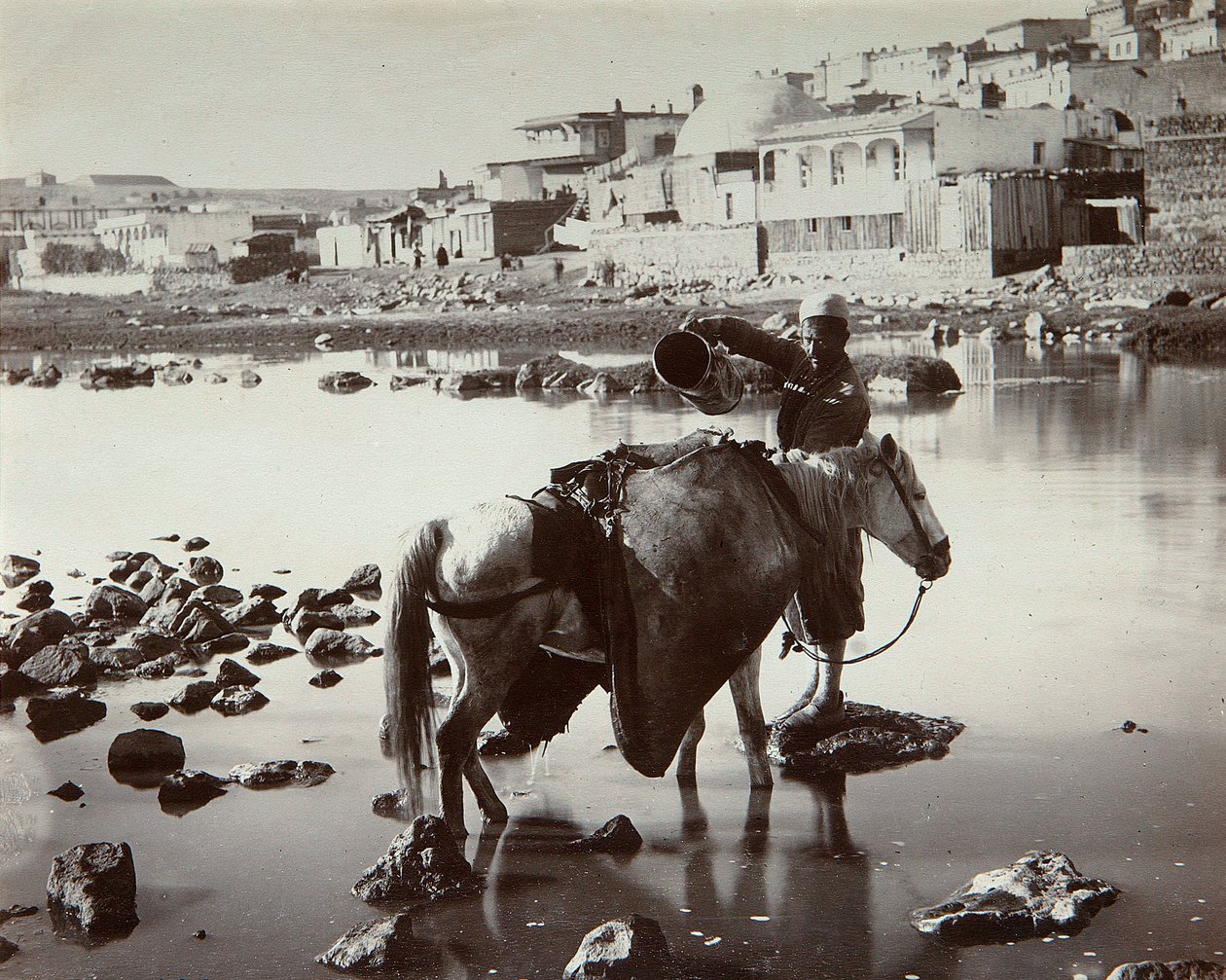 ए वॉटरिंग प्लेस, 1880 के दशक द्वारा दिमित्री इवानोविच यरमकोव