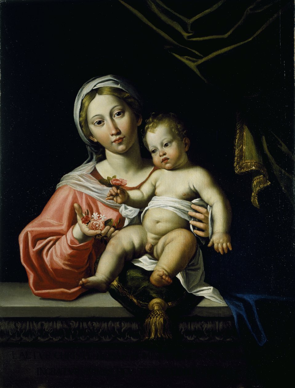 मैडोना डेला रोजा, 1627 से पहले (कैनवास पर तेल) द्वारा Domenichino