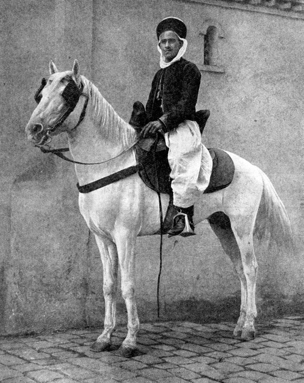 1936 में फ्रांसीसी सेना का बर्बर घुड़सवार। द्वारा डोनाल्ड मैकलेश