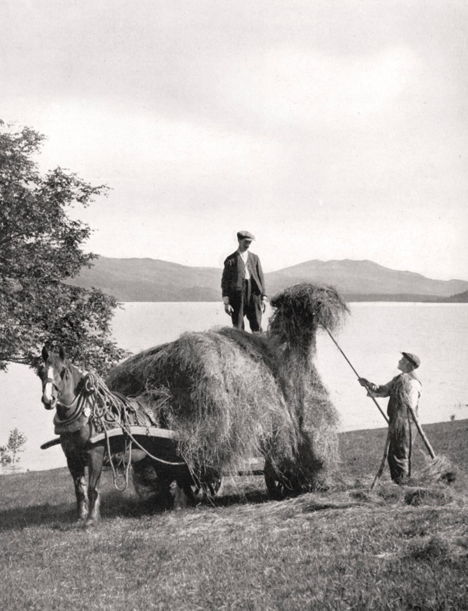 1924-1926 स्कॉटलैंड, लोम लोमोंड के तट पर एक वैगन पर लोड हो रहा है। द्वारा डोनाल्ड मैकलेश