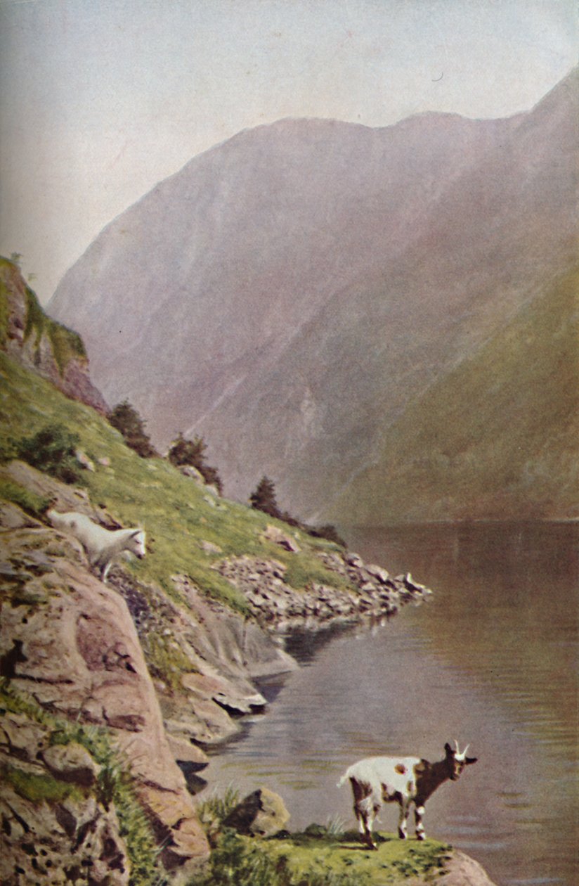 नॉर्वे, c1930s द्वारा डोनाल्ड मैकलेश