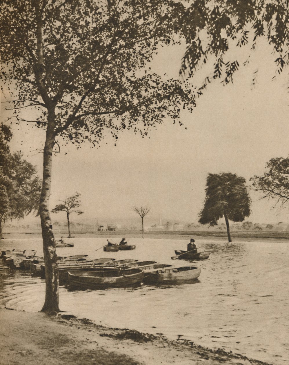 ब्लैकहैड पर, ग्रेटर लंडन्स मोस्ट हिस्टोरिक कॉमन, c1935। द्वारा डोनाल्ड मैकलेश