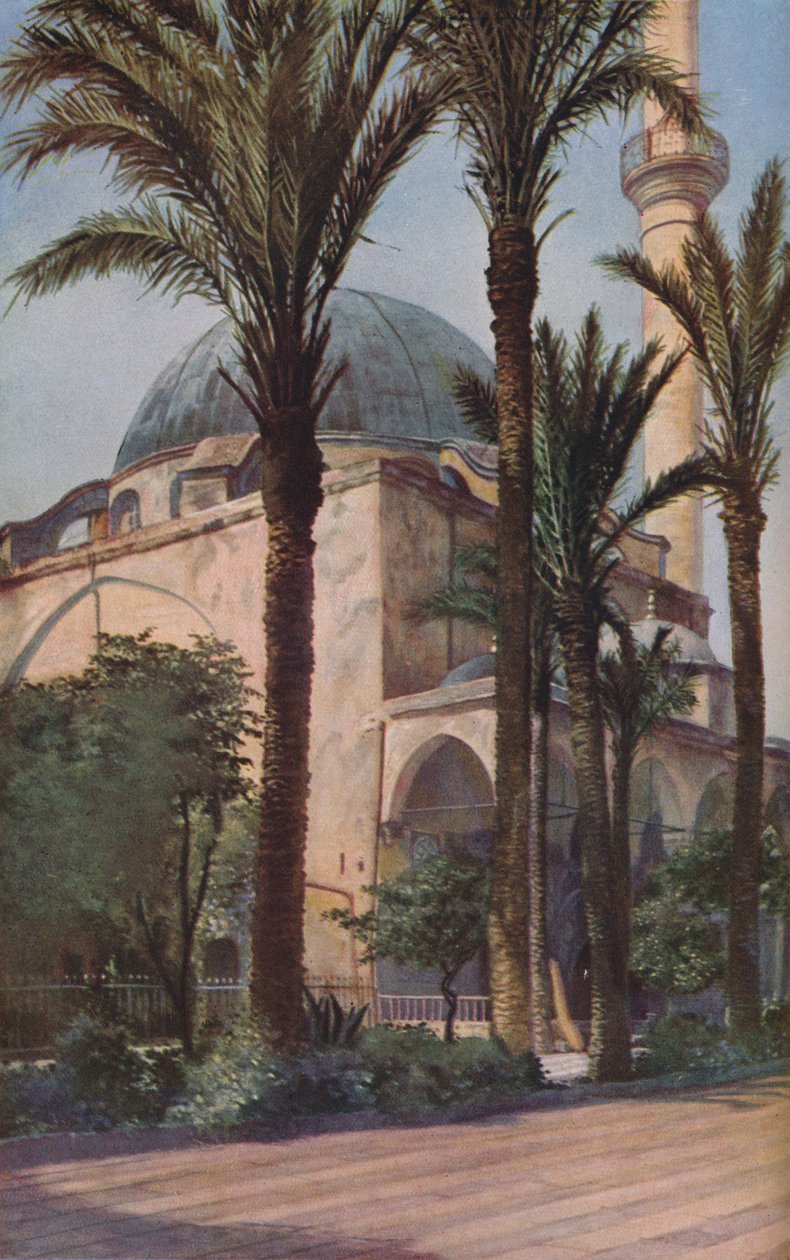 फिलिस्तीन, c1930s द्वारा डोनाल्ड मैकलेश