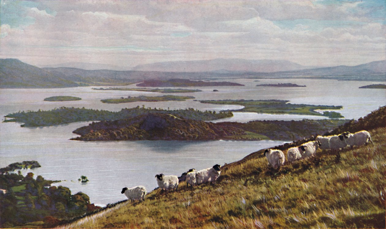 स्कॉटलैंड, c1930s द्वारा डोनाल्ड मैकलेश