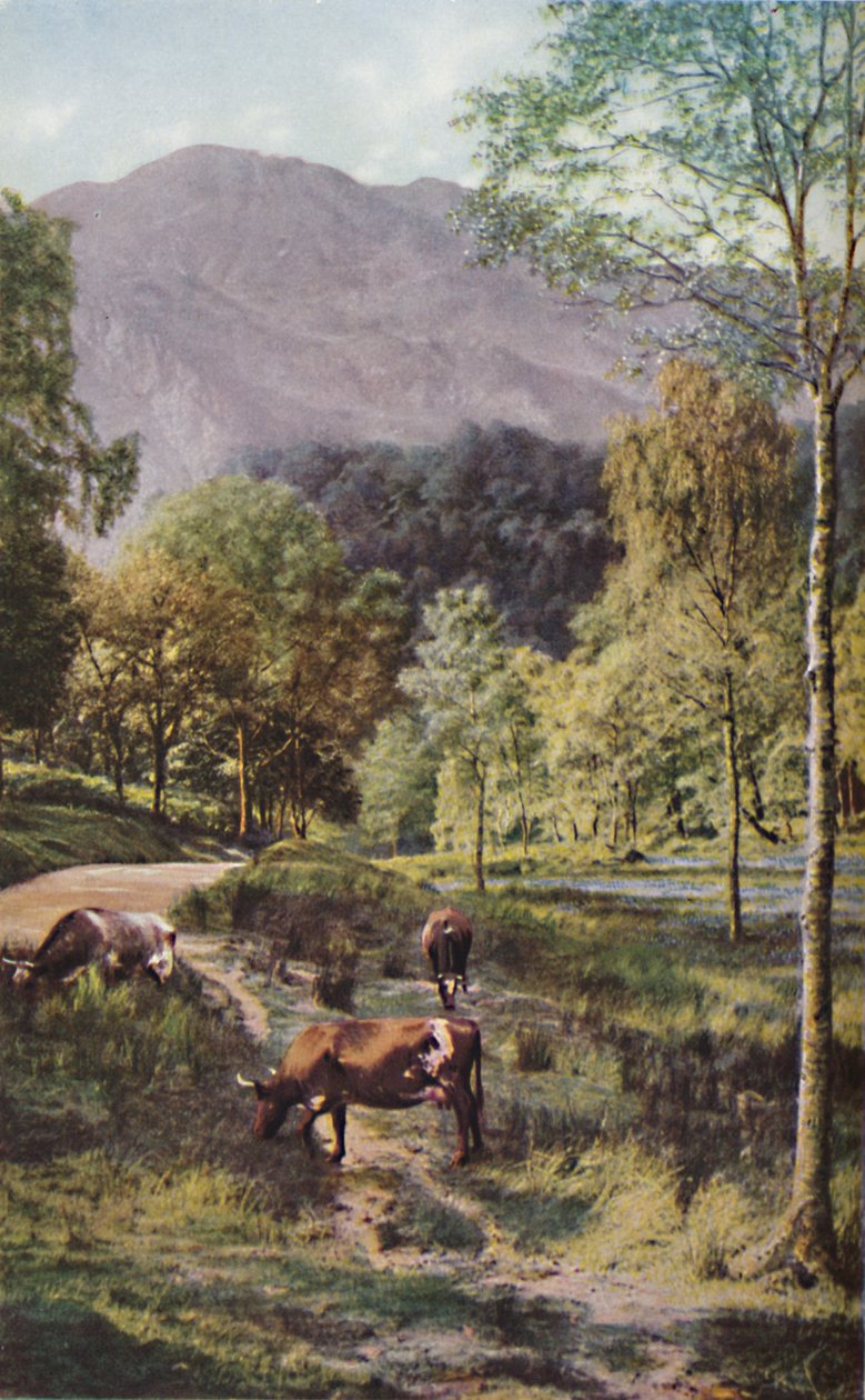 स्कॉटलैंड, c1930s द्वारा डोनाल्ड मैकलेश