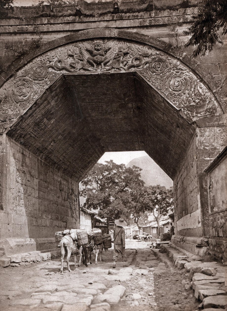  द्वारा डोनाल्ड मेनी