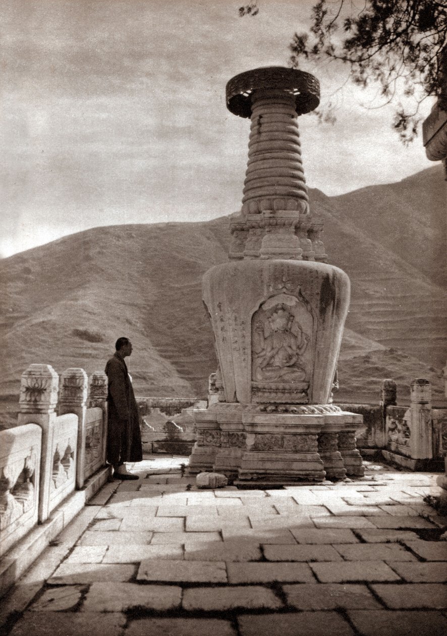  द्वारा डोनाल्ड मेनी