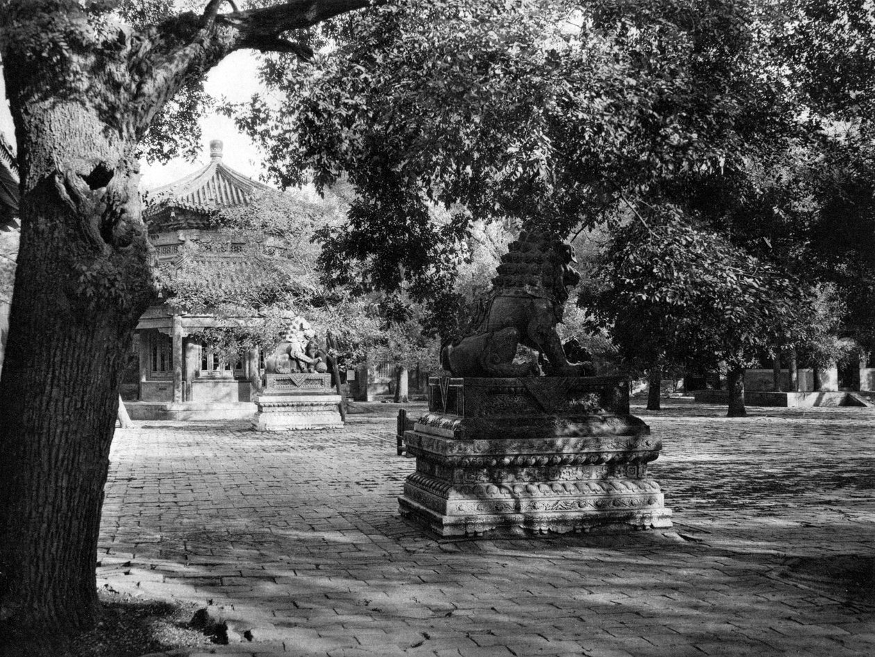  द्वारा डोनाल्ड मेनी