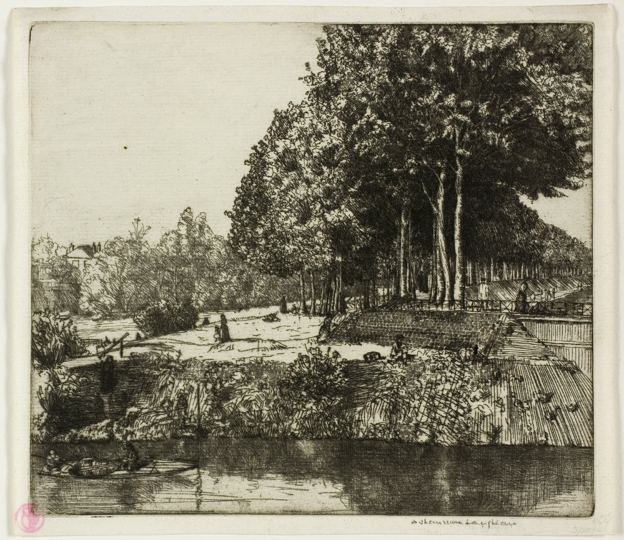  द्वारा डोनाल्ड शॉ MacLaughlan