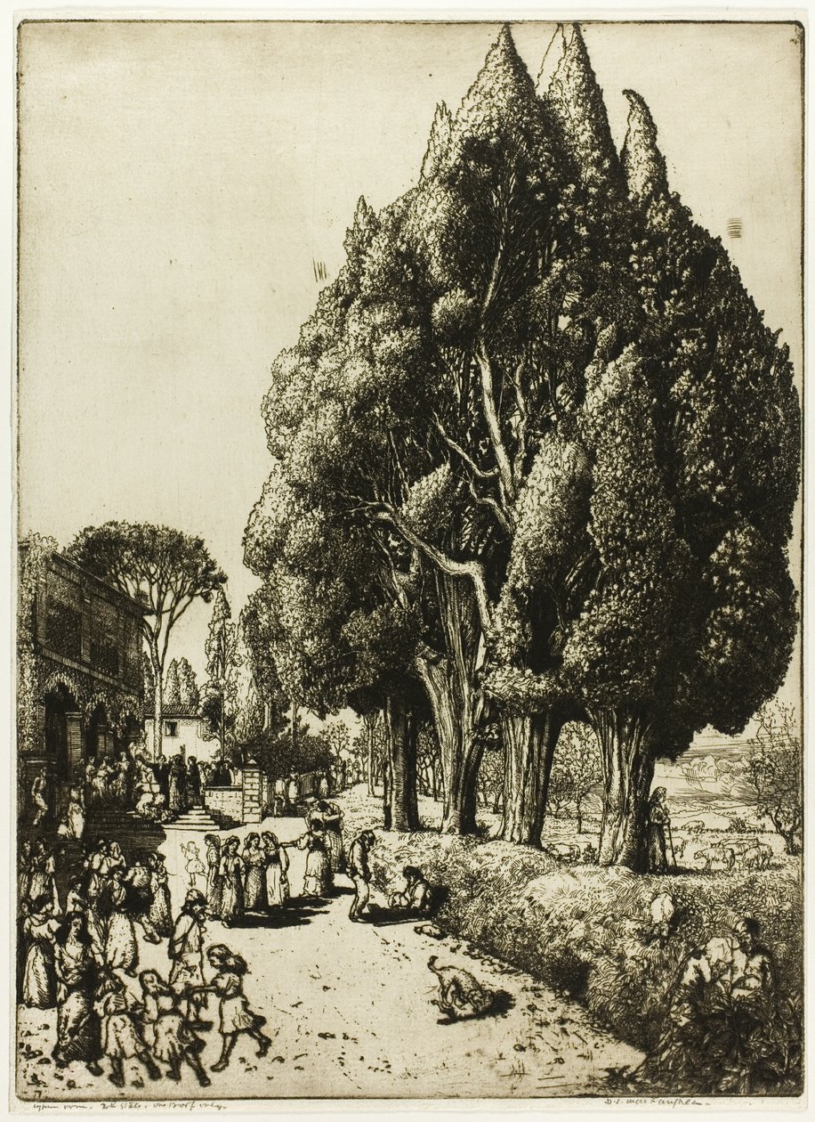  द्वारा डोनाल्ड शॉ MacLaughlan