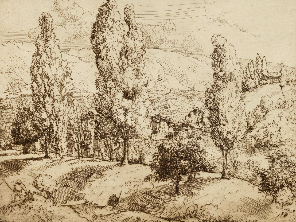  द्वारा डोनाल्ड शॉ MacLaughlan