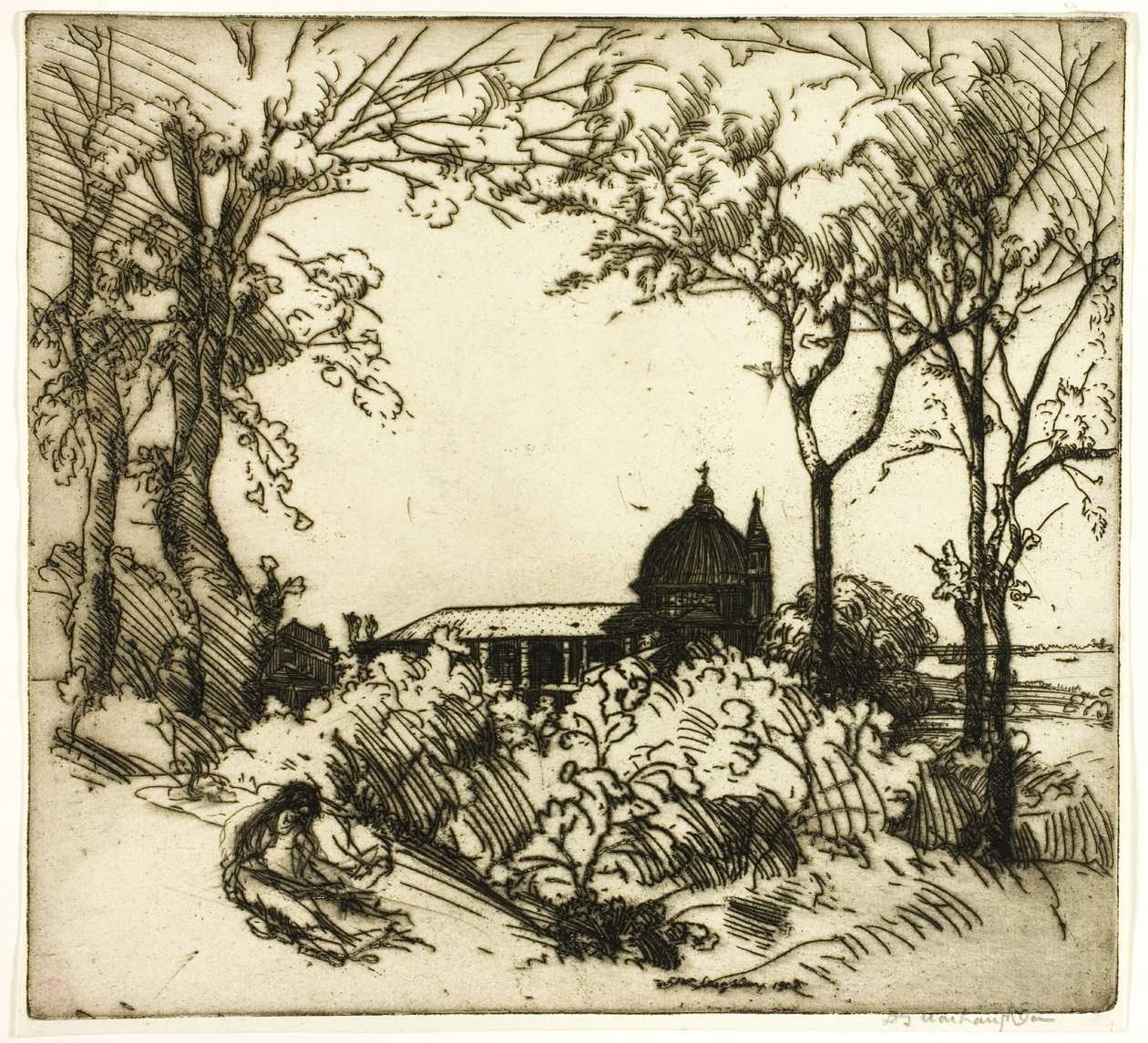  द्वारा डोनाल्ड शॉ MacLaughlan